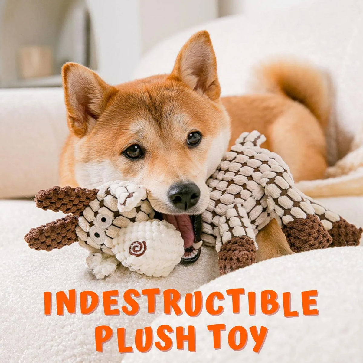Dog Chew Toy with Layered Plush Fabric and Internal Squeaker, Machine Washable