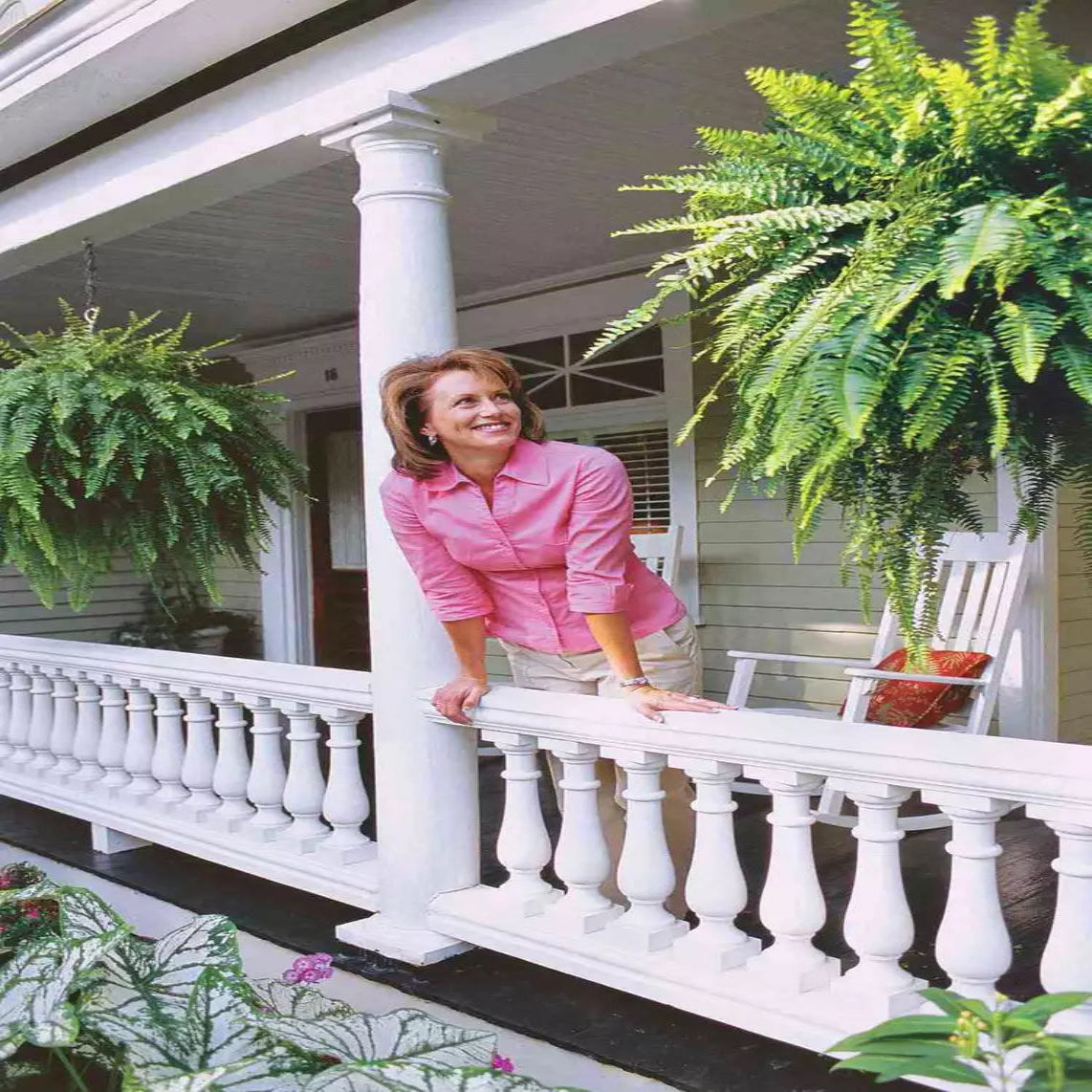 Artificial Boston Fern Set with Polyethylene and Water Resistant Construction, 18 Pack