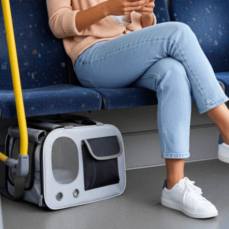 Cat Travel Carrier with Ventilated Mesh Panel Design