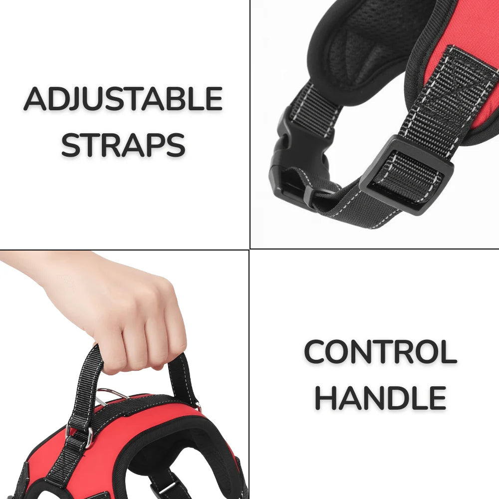 Dog Walking Harness with Mesh Lining, Reflective Straps and Handle