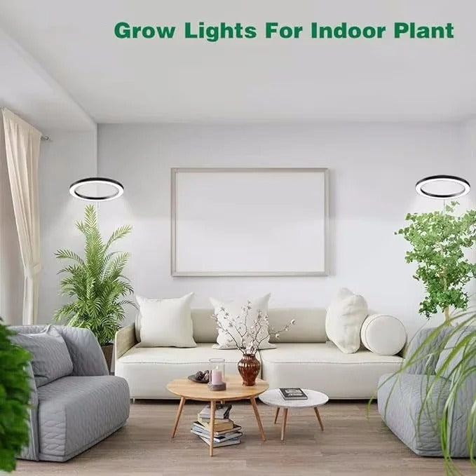 Full Spectrum LED Ring Light with Telescoping Stand and Automated Timer for Indoor Plants