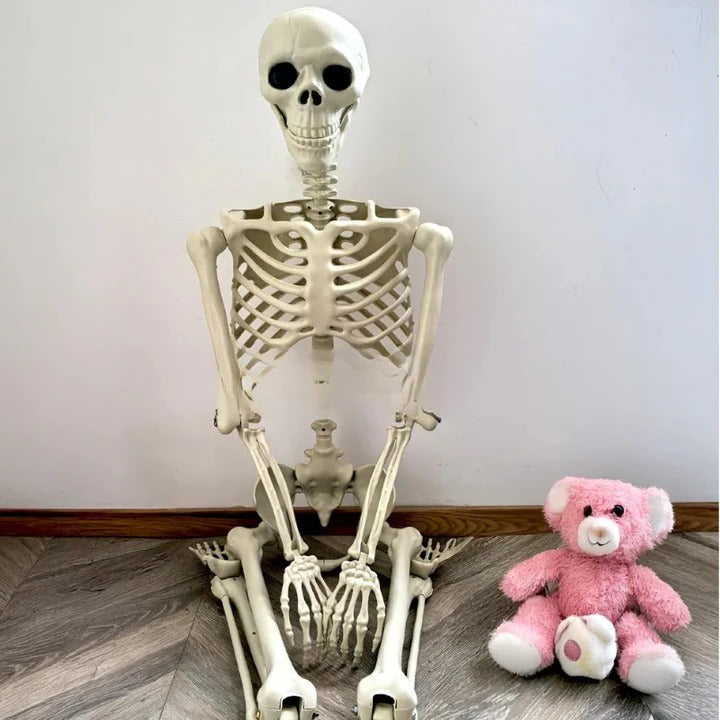 Full Body Skeleton Halloween Decoration with Posable Arms and Legs