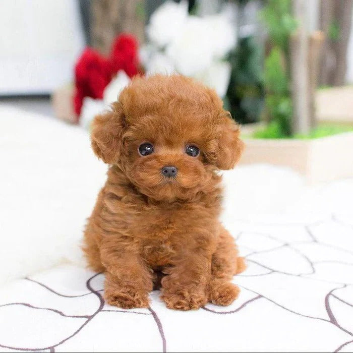 Realistic Plush Teddy Dog with Weighted Body