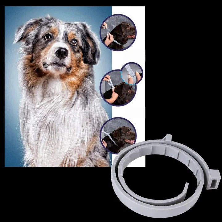 Flea and Tick Repellent Collar for Pets