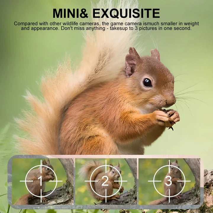 Motion Activated Trail Camera with Night Vision and HD Video Capture