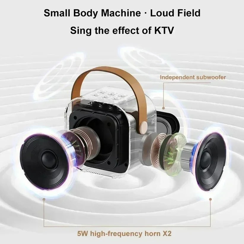 Wireless Karaoke Machine with Bluetooth Speaker and Microphone Input
