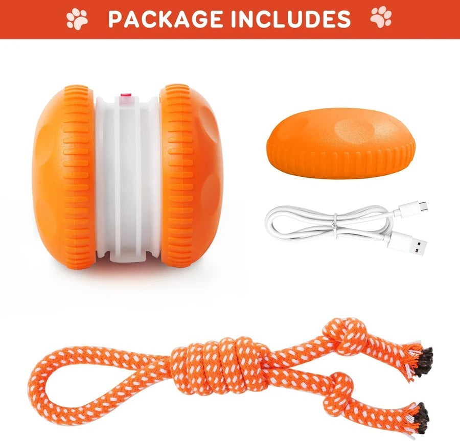 Motion Sensor Dog Ball with Rope Attachment, 2 Pack Bundle