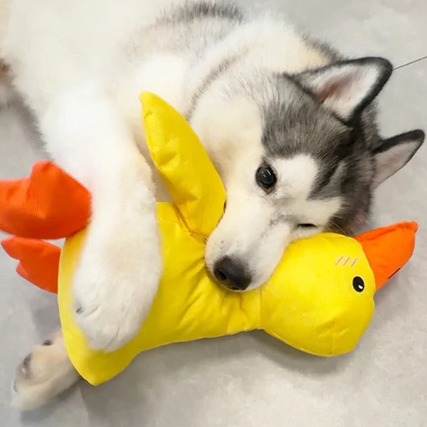 Quiet Duck Ally and Gentle Doggy Toy