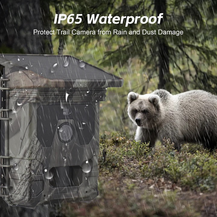 Outdoor Wildlife Camera with Solar Panel and Infrared Night Detection