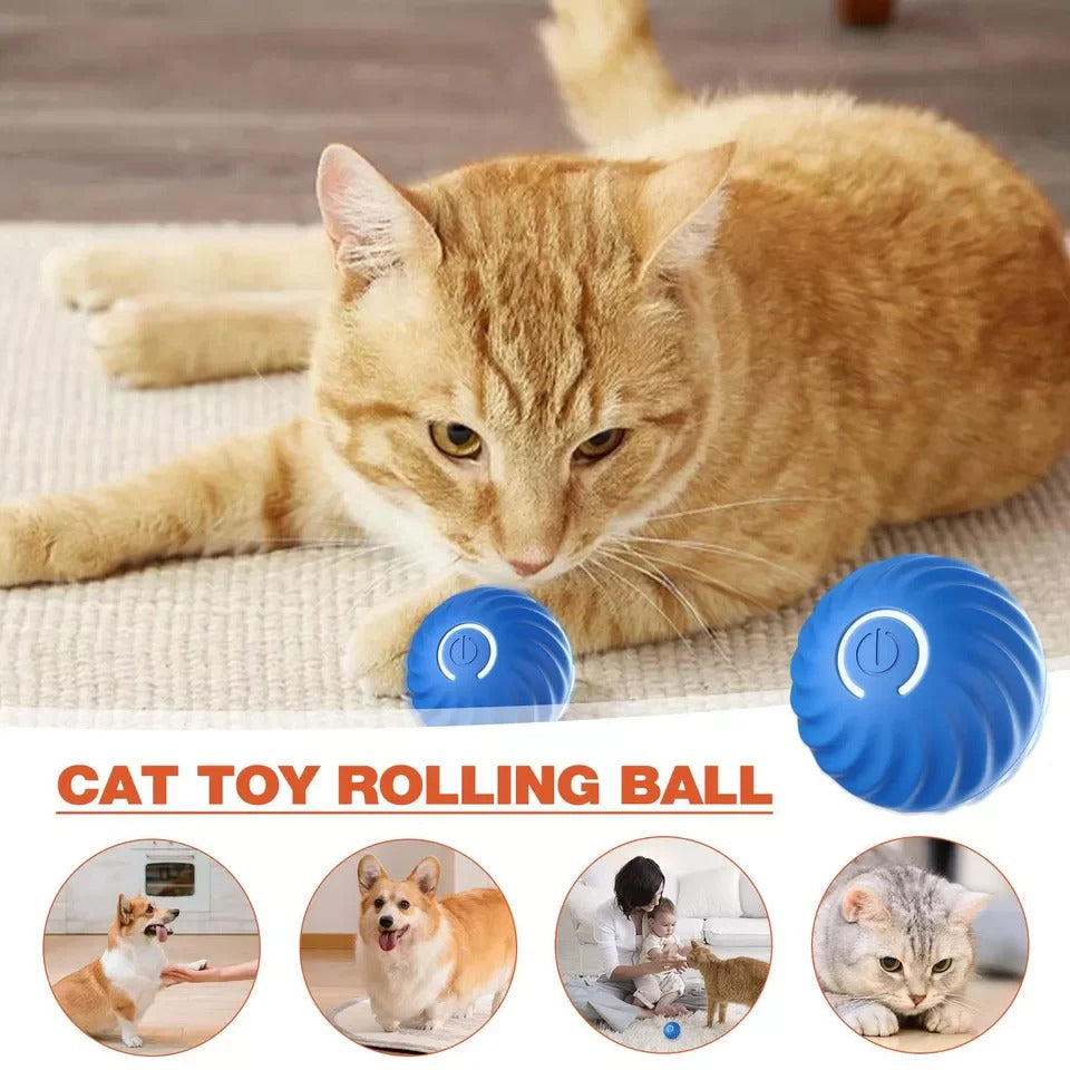 Rechargeable Interactive Rolling Ball with Random Rolling Motion