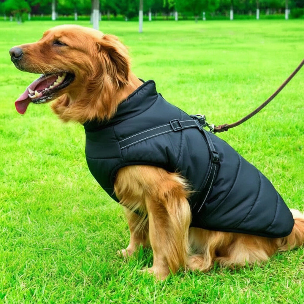 Waterproof Winter Dog Jacket with Sherpa Fleece Lining and Harness