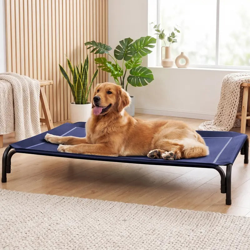 Elevated Large Dog Bed with Breathable Mesh for Indoor Outdoor Use