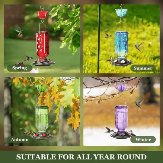 Glass Hummingbird Feeder with Six Flower Ports and Ant Moat, 24oz