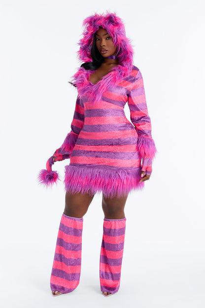 Pink Kitty Halloween Costume Set for Women with Hooded Fur Dress Tail Choker Gloves and Leg Warmers
