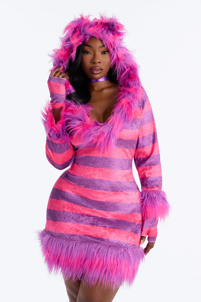 Pink Kitty Halloween Costume Set for Women with Hooded Fur Dress Tail Choker Gloves and Leg Warmers