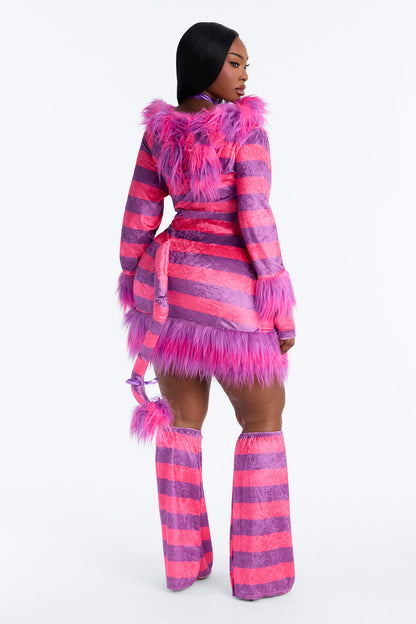 Pink Kitty Halloween Costume Set for Women with Hooded Fur Dress Tail Choker Gloves and Leg Warmers