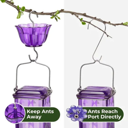 Glass Hummingbird Feeder with Six Flower Ports and Ant Moat, 24oz