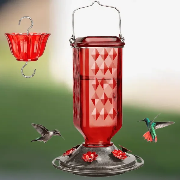 Glass Hummingbird Feeder with Six Flower Ports and Ant Moat, 24oz