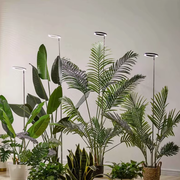 Full Spectrum LED Ring Light with Telescoping Stand and Automated Timer for Indoor Plants
