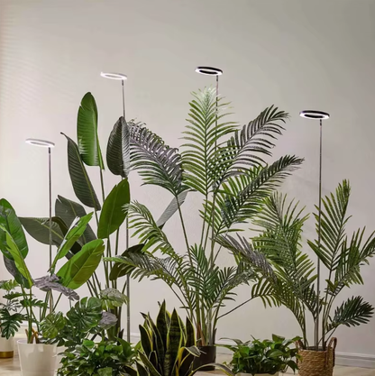 Full Spectrum LED Ring Light with Telescoping Stand and Automated Timer for Indoor Plants