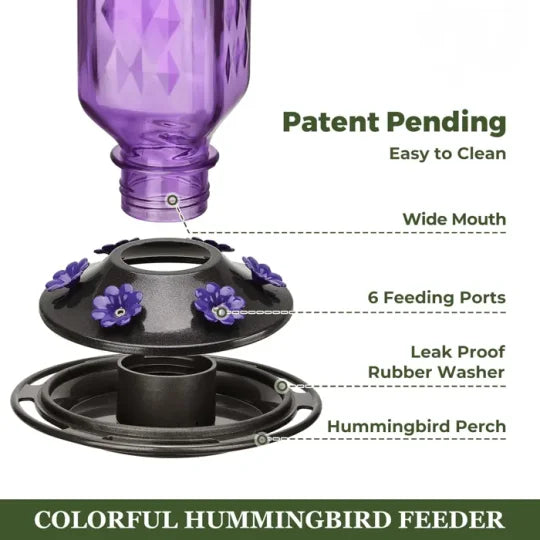 Glass Hummingbird Feeder with Six Flower Ports and Ant Moat, 24oz