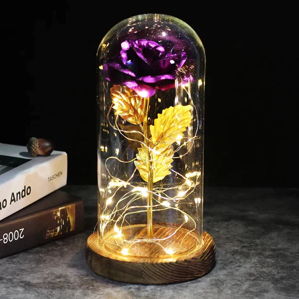 Preserved Real Rose with LED Dome Display and Battery Base