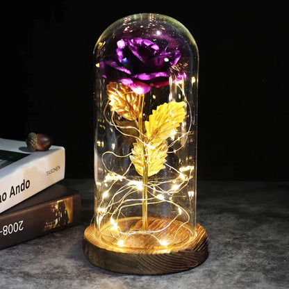 Preserved Real Rose with LED Dome Display and Battery Base