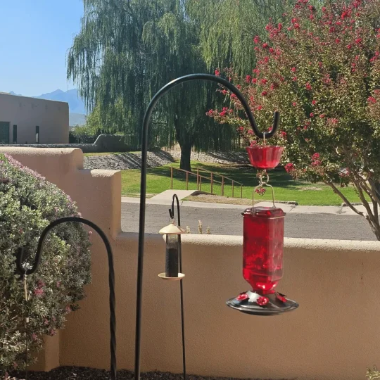 Glass Hummingbird Feeder with Six Flower Ports and Ant Moat, 24oz