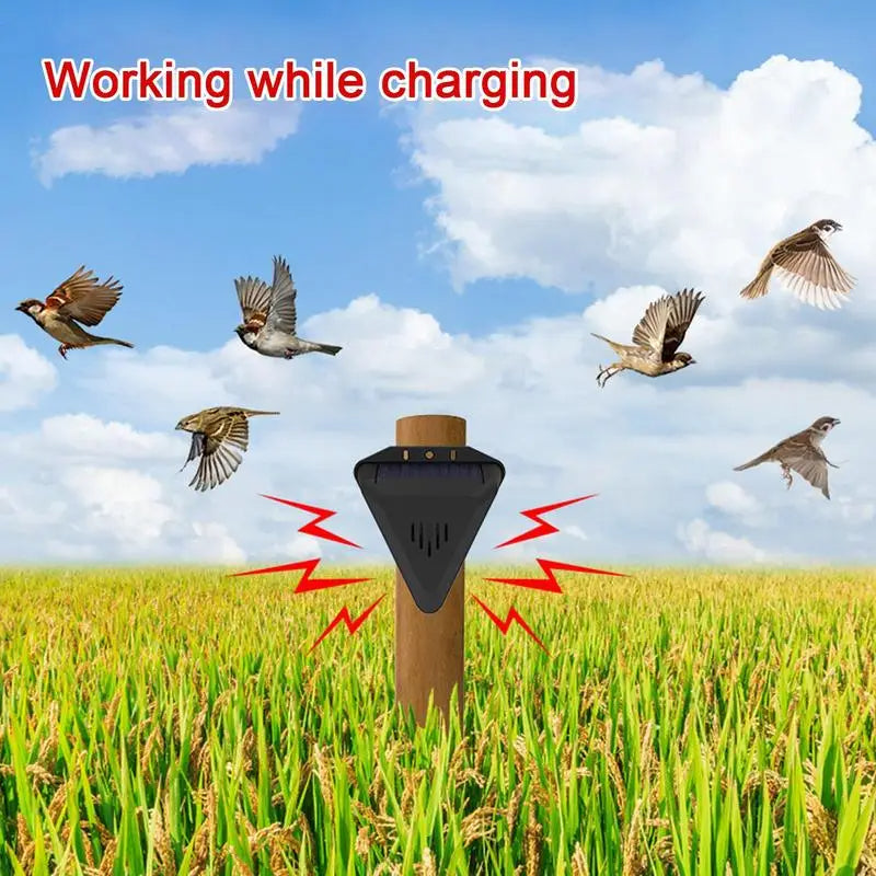 Solar Powered Outdoor Bird Repeller with 13 Rotating Predator Sounds and an IP55 Rated Body