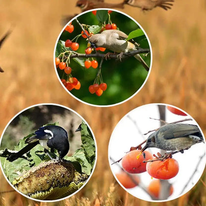 Solar Powered Outdoor Bird Repeller with 13 Rotating Predator Sounds and an IP55 Rated Body
