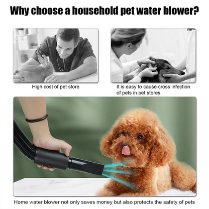 High Velocity Dog Grooming Dryer with Dual Speed Settings and Adjustable Temperature, Four Nozzle Attachments