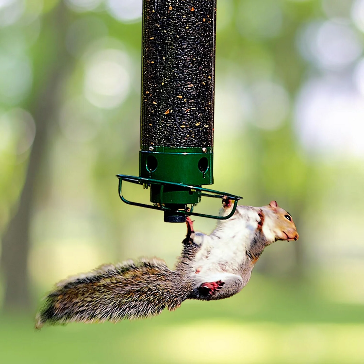 Squirrel Proof Bird Feeder  Rotating Perch Metal Design - Product showcase