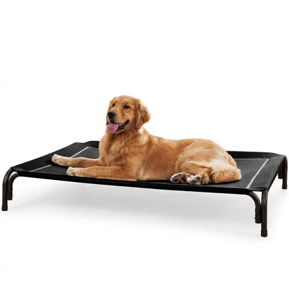 Elevated Large Dog Bed with Breathable Mesh for Indoor Outdoor Use
