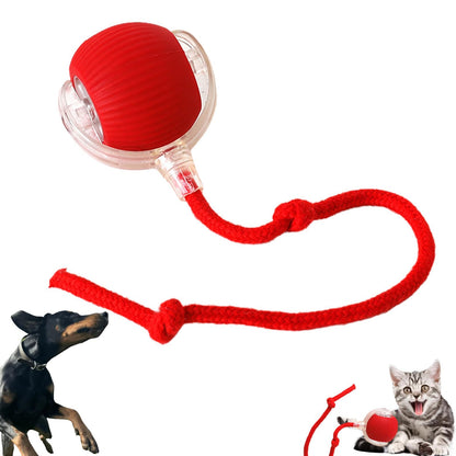 Interactive Rolling Pet Toy with Touch Activation and Chew Resistant Material for Dogs and Cats