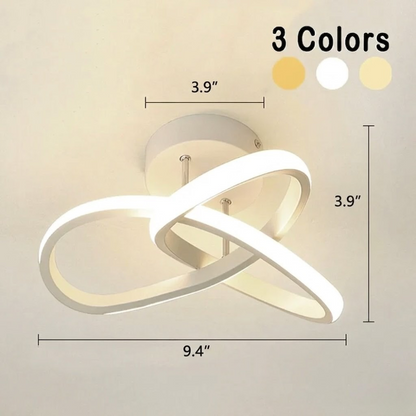 Adjustable LED Ceiling Light, Modern Metal Lighting Fixture