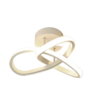Adjustable LED Ceiling Light, Modern Metal Lighting Fixture