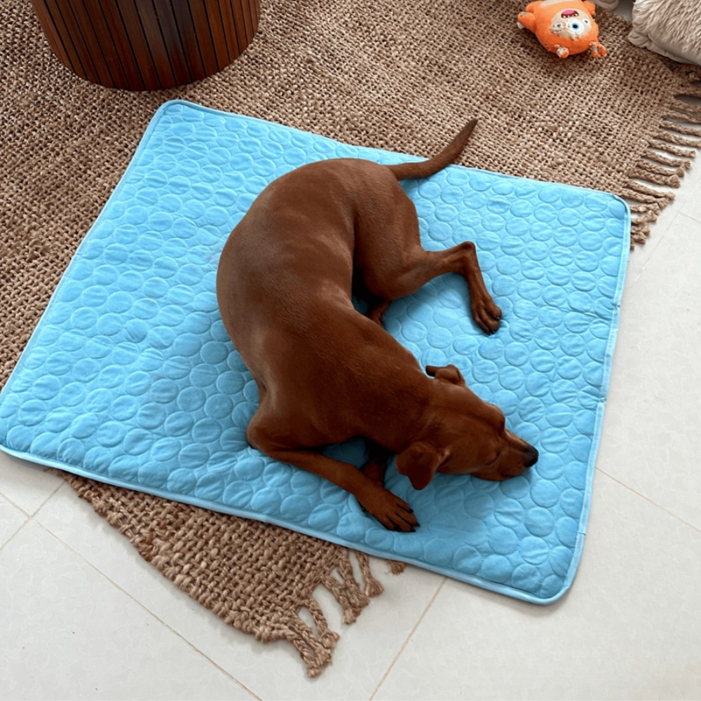 Dog Cooling Mat with Breathable Ice Silk and Washable Surface