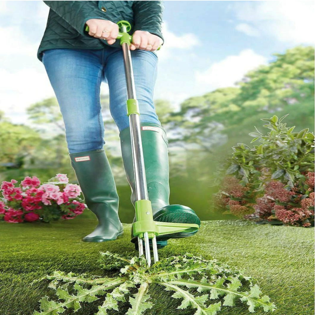 Standing Root Puller Tool with Stainless Steel Claws and Foot Pedal
