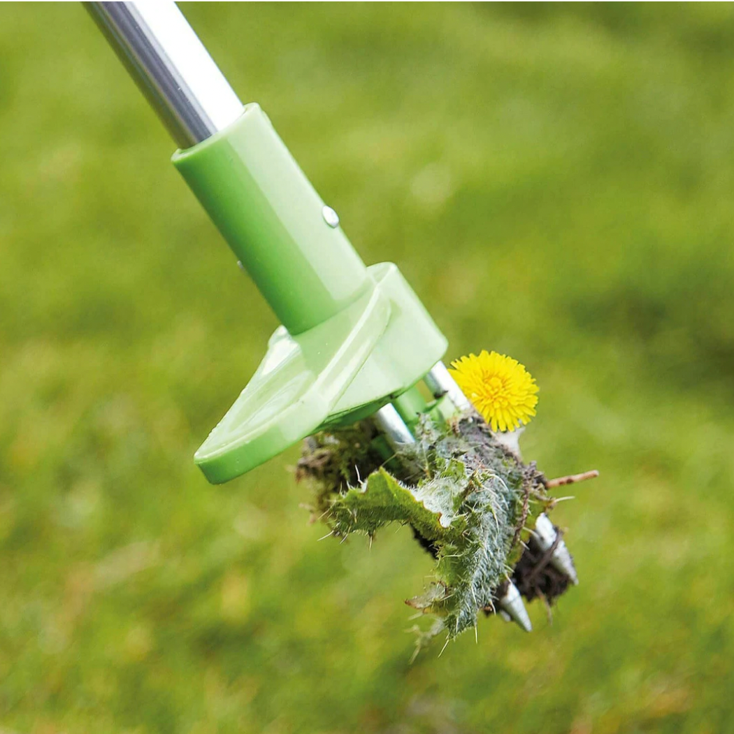 Standing Root Puller Tool with Stainless Steel Claws and Foot Pedal