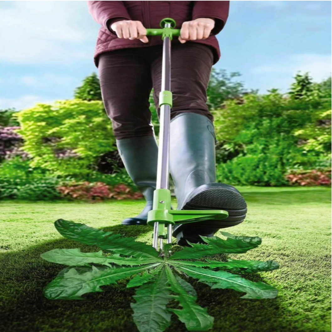 Standing Root Puller Tool with Stainless Steel Claws and Foot Pedal