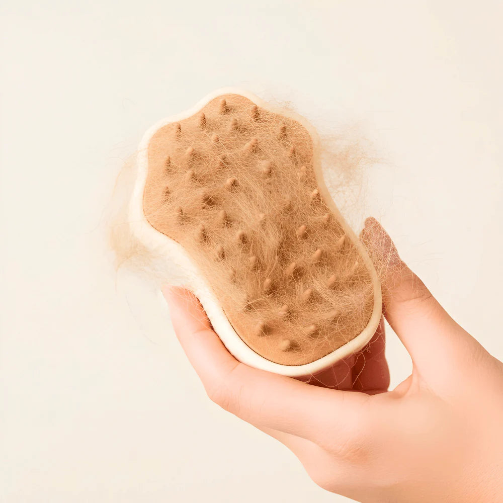 Pet Grooming Brush with Mist and Silicone Bristles