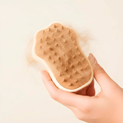 Pet Grooming Brush with Mist and Silicone Bristles