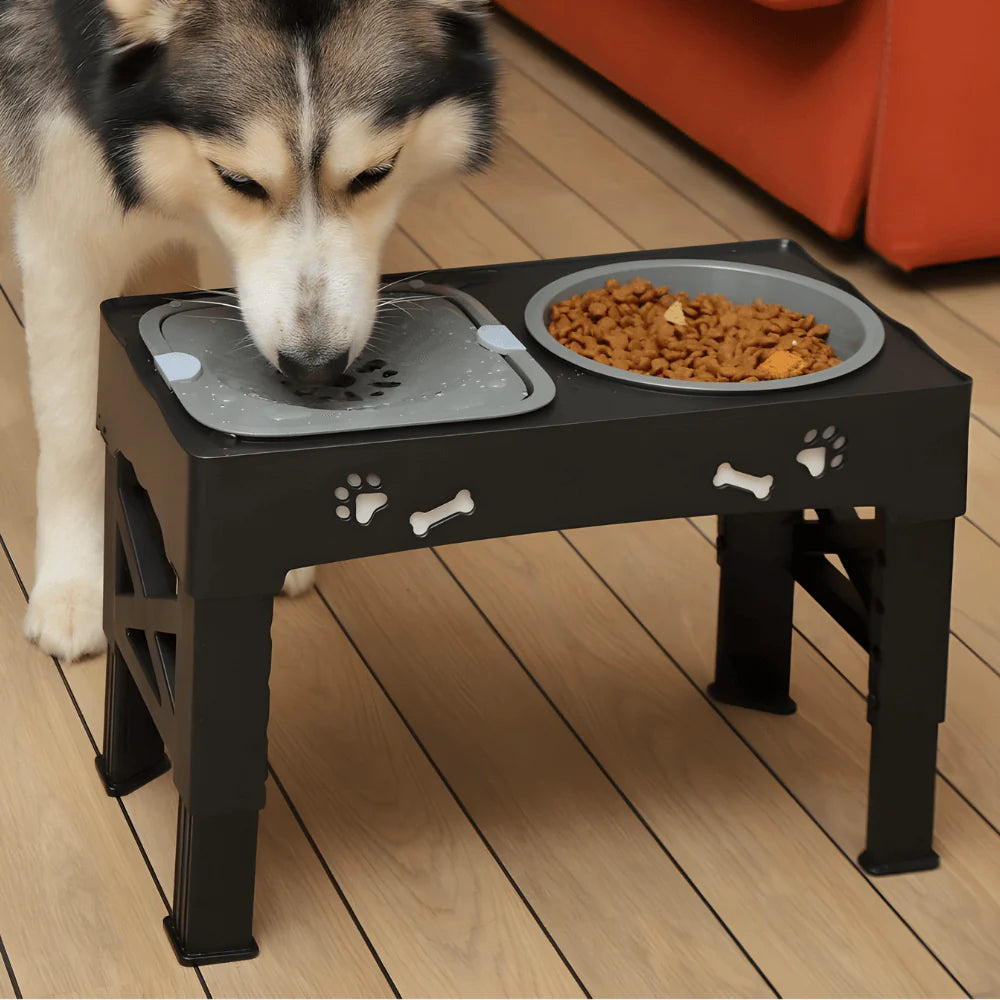 Adjustable Dog Bowl Stand with Slow Feeder and Water Bowl Set