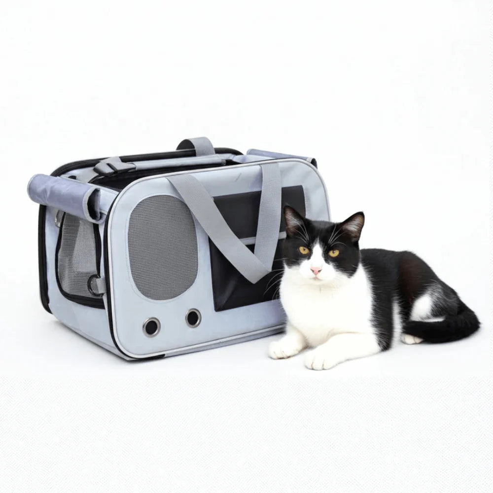 Cat Travel Carrier with Ventilated Mesh Panel Design