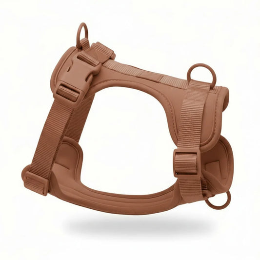 Adjustable Dog Harness with Mesh Padding and Lightweight Nylon Build