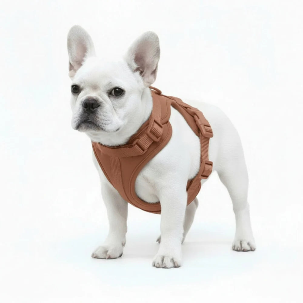 Adjustable Dog Harness with Mesh Padding and Lightweight Nylon Build