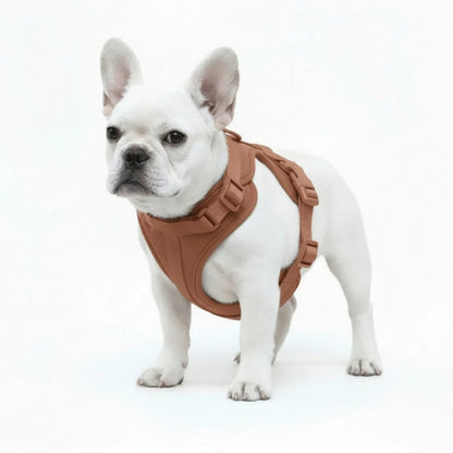 Adjustable Dog Harness with Mesh Padding and Lightweight Nylon Build
