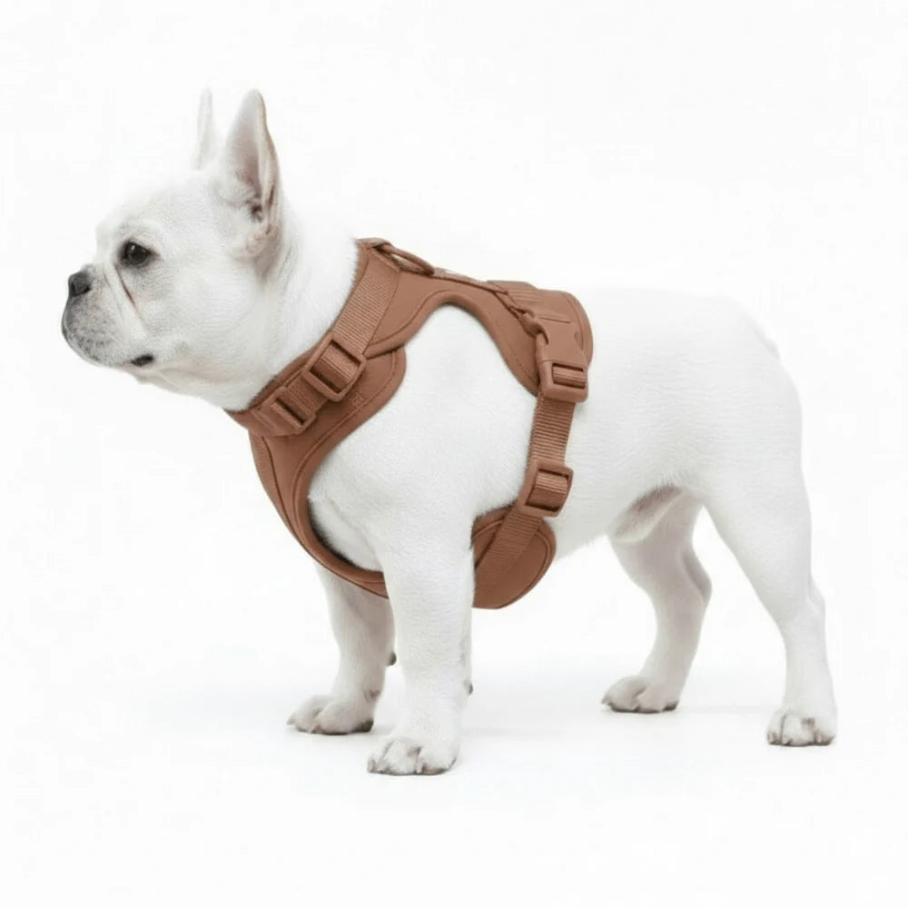 Adjustable Dog Harness with Mesh Padding and Lightweight Nylon Build