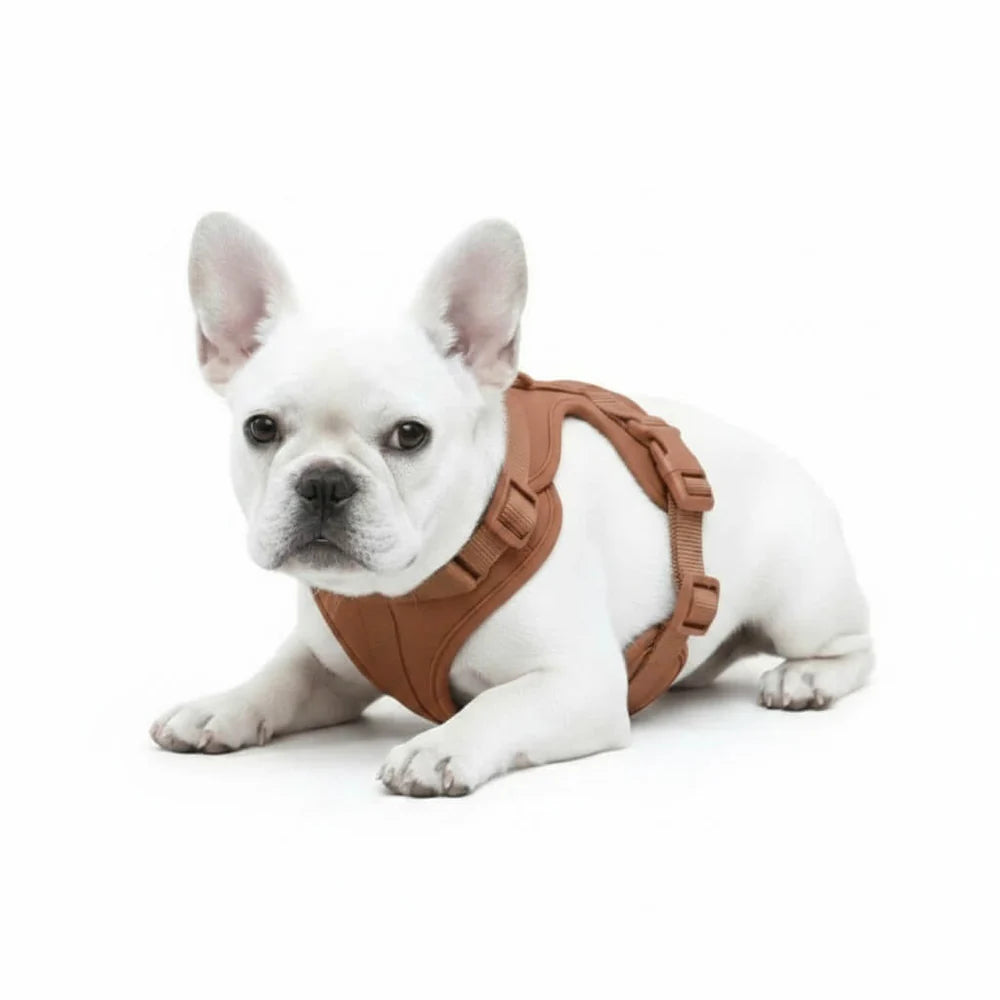 Adjustable Dog Harness with Mesh Padding and Lightweight Nylon Build