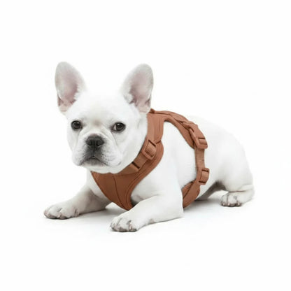 Adjustable Dog Harness with Mesh Padding and Lightweight Nylon Build